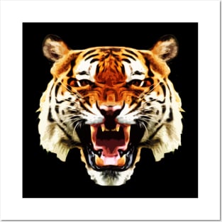 Cool Tees Save Tigers Ecology Posters and Art